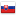Slovakia Flag Icon - HIRVI Transport Kft